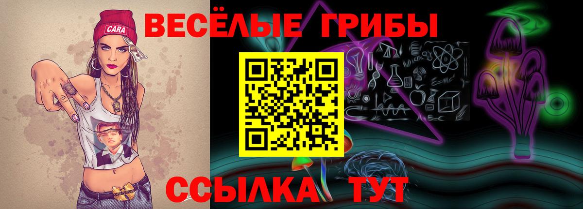 Арсеньев  Псилоцибиновые грибы Magic Shrooms  Галлюциногенные грибы ЛСД  Вход с VPN 